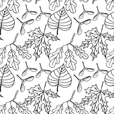 Sonbaharda dökülen yapraklar. Sonbahar arkaplanı. Yazdırma.