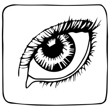 İnsan gözü. Bir göz çizimi ve üstüne bir kaş..