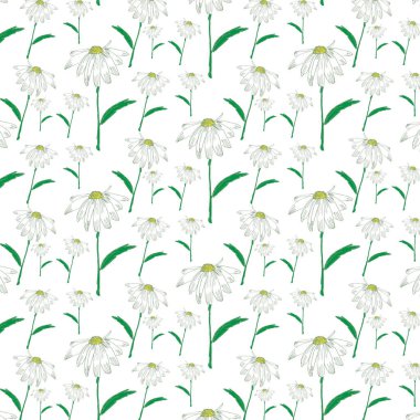 Çiçek deseni, vektör arkaplanı 