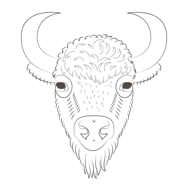 Bison Head Portrait Wild Bull Handsome Bull — Image vectorielle