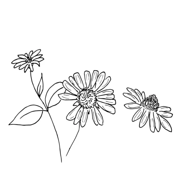 単純な夏の花の絵のセット 抽象的な花のイラスト 手描きのベクターアート 黒白のイラスト — ストックベクタ