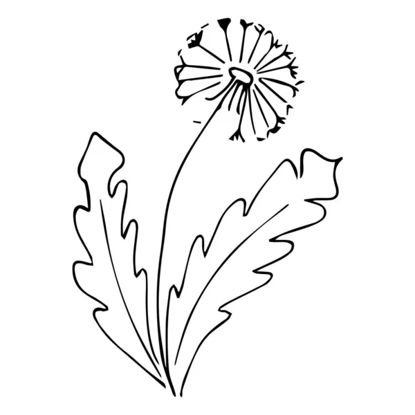 シンプルな夏の花の図面 抽象的な花のイラスト 手描きベクトルアート 黒白のイラスト — ストックベクタ