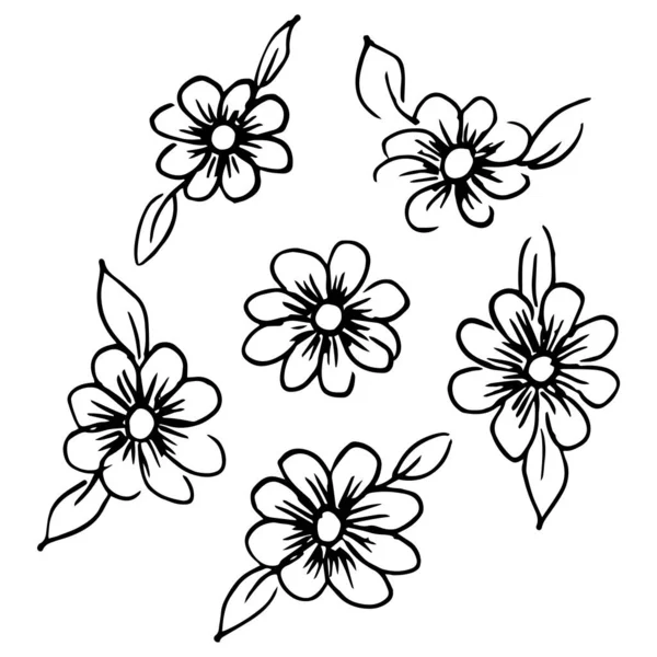 Set Van Eenvoudige Zomerbloemen Tekeningen Abstracte Bloemen Illustratie Handgetekende Vectorkunst — Stockvector