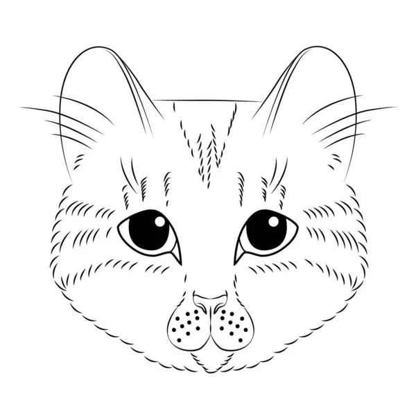 ぬり絵のかわいい猫 小さな猫 黒と白のベクトルイラスト — ストックベクタ