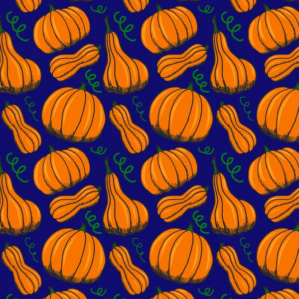 卷曲橙南瓜 秋季水果大南瓜 用于织物印刷 — 图库矢量图片