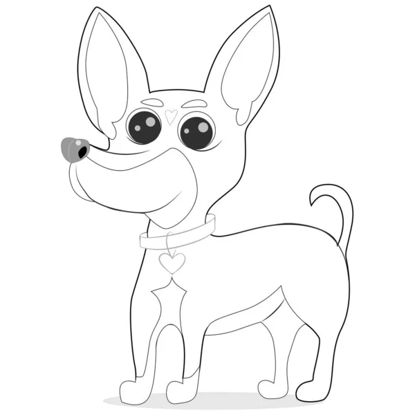 Иллюстрация Маленькой Собачки Породы Чихуахуа Векторный Рисунок Маленькой Собаки — стоковый вектор