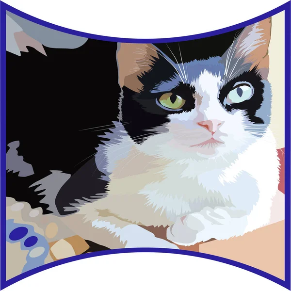 Dibujo Retrato Vectorial Gato Hermosa Ilustración Gatito Para Imprimir Tela — Vector de stock
