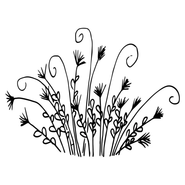 Vector Simple Drawing Vase Flowers Black White Drawing — Stockvektor