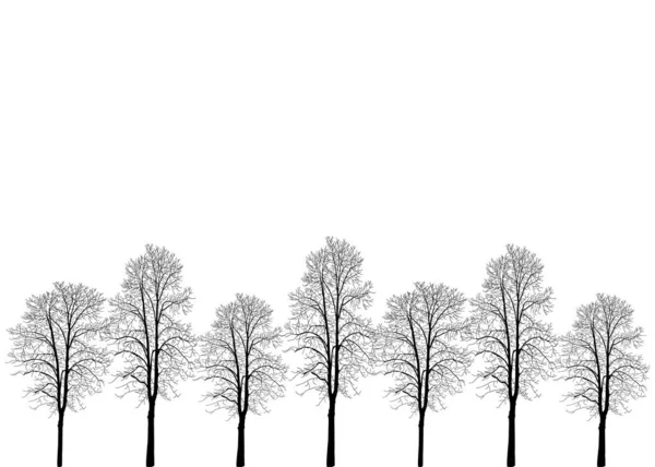 さまざまな高さの多くの木 葉のない木 葉のない枝を持つ葉の木の幹 装飾のための大きな植物 葉のない枝が多い — ストックベクタ