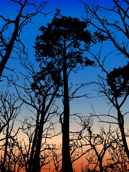 Molti Alberi Diverse Altezze Alberi Senza Foglie Tronchi Albero Senza — Vettoriale Stock