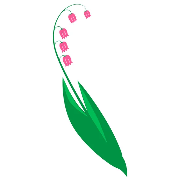 Çiçek açan çan çiçekleri. Vadinin pembe çiçekleri.