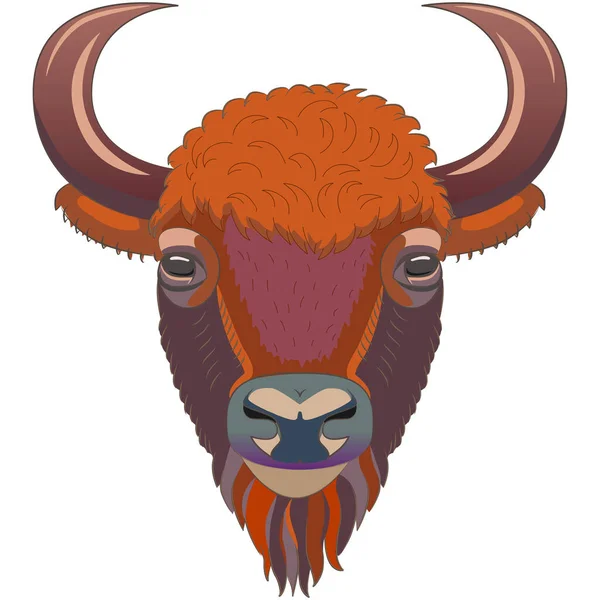 Cabeza Bisonte Retrato Toro Salvaje Toro Guapo — Vector de stock