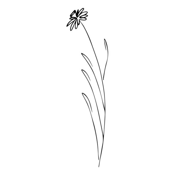 Simples Dessins Fleurs Été Illustration Florale Abstraite Art Vectoriel Dessiné — Image vectorielle