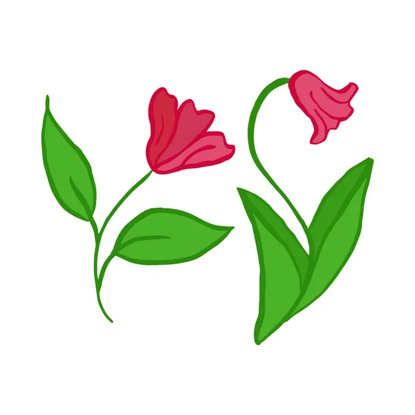 Yapraklı Taşıyıcı Çiçekler Çiçeklerle Süslemek Için — Stok Vektör