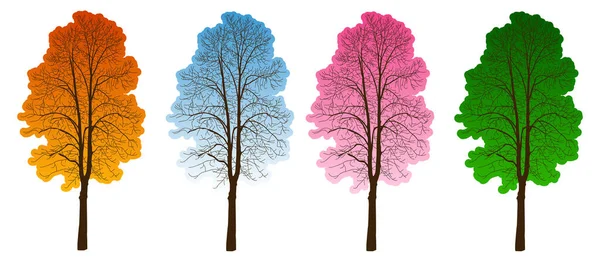 Dört ağaç, dört mevsim. Farklı renkte ağaçlar.