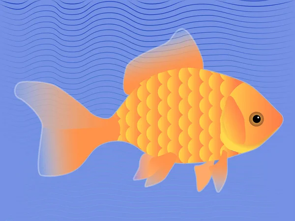 Illustration Goldfish Orange Golden Color Fish Aquarium Pet Living Water —  Vetores de Stock
