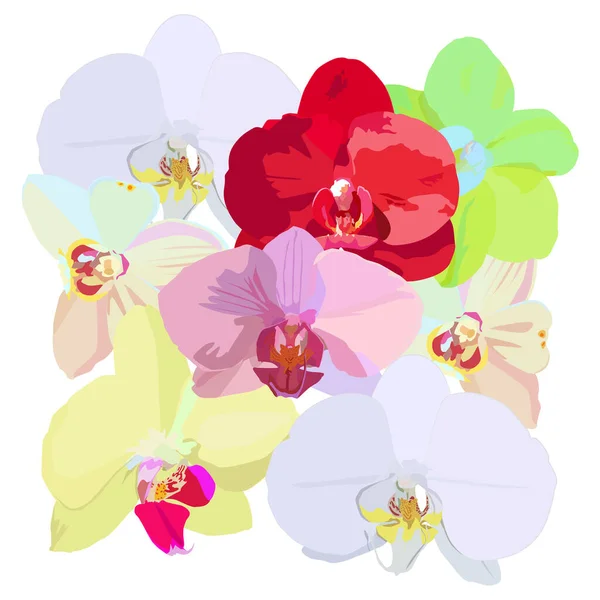 Vectorpatroon Van Orchideeën Bloemen — Stockvector