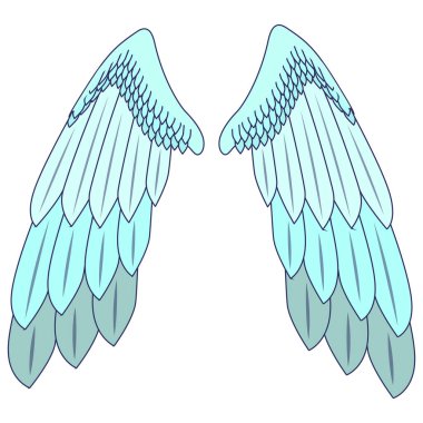 Two wings with large feathers. Angel wings. Part of the costume wings for the flight.