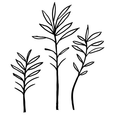 El çizimi bitkiler, vektör illüstrasyonu 