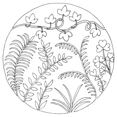 Basit yaz çiçekleri çizimleri. Soyut çiçek illüstrasyonu. El çizimi vektör sanatı. siyah beyaz resimleme