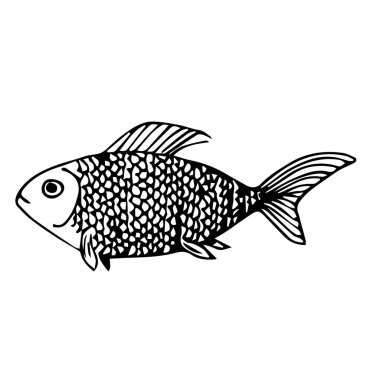 Deniz balığı deseni, vektör illüstrasyonu 