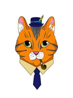 The image of a cat in a hat with a pipe for smoking in a tie. Cat gentleman with felovom suit. Cat in clothes. Portrait of a cat in clothes. Red tomcat in a hat with a feather.