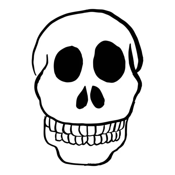 Drawing Human Skull Skull Vector — Stock Vector
