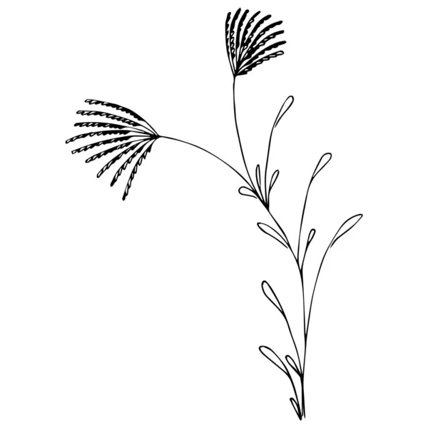 シンプルな夏の花の図面 抽象的な花のイラスト 手描きベクトルアート 黒白のイラスト — ストックベクタ