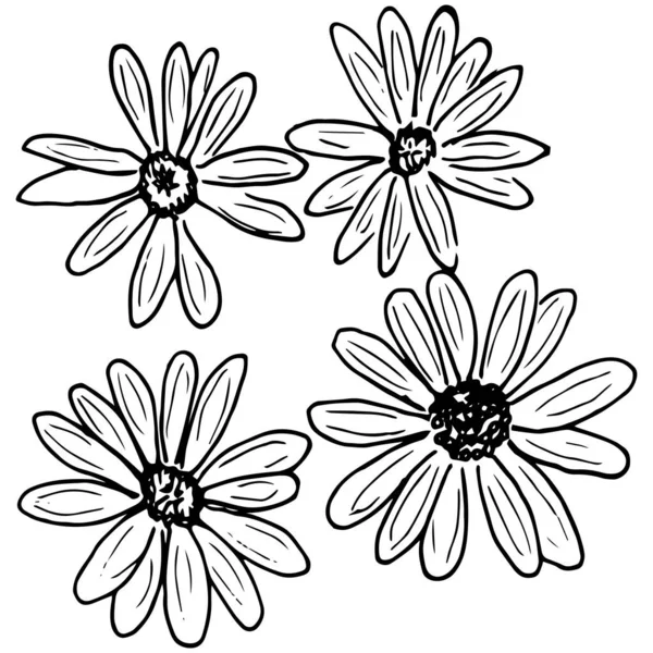 Set Simple Summer Flowers Drawings Abstract Flowers Illustration Hand Drawn — 图库矢量图片