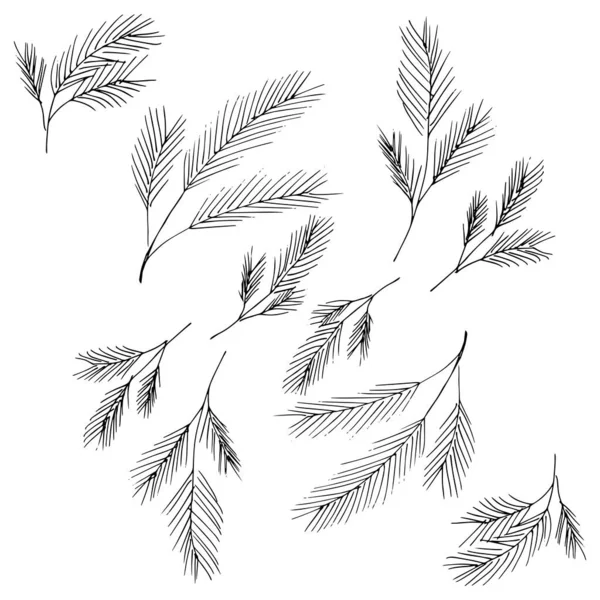 Les Branches Mangeaient Branches Épinette Avec Aiguilles — Image vectorielle