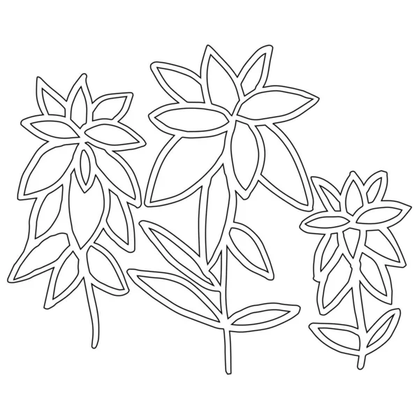 Plantas Desenhadas Mão Ilustração Vetorial — Vetor de Stock