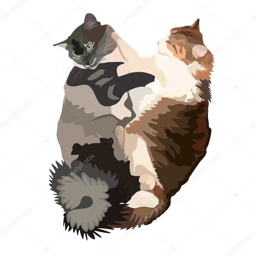 Two fluffy cats are hugging. Enamored cats. Vector for printing onto fabric, paper.