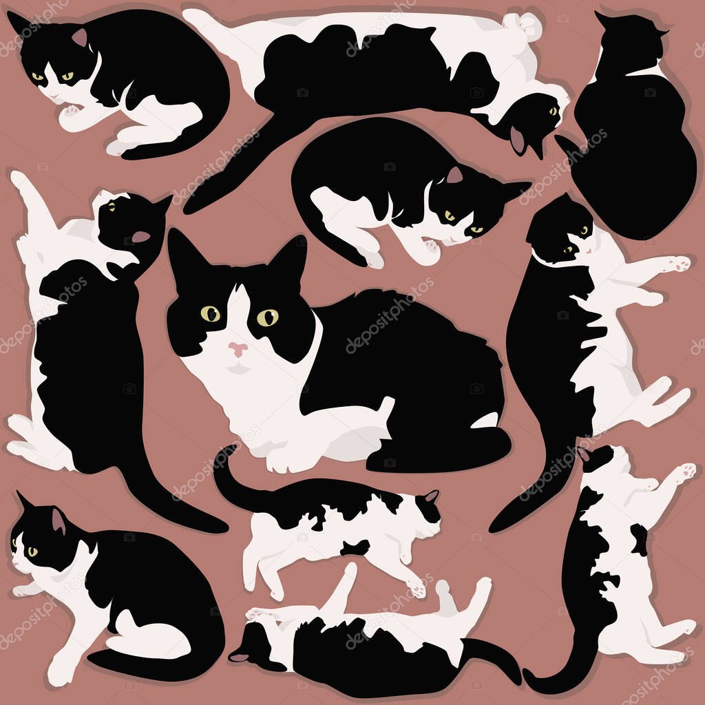 Vector pattern cats. Cute cats. For printing on fabric wallpaper paper.