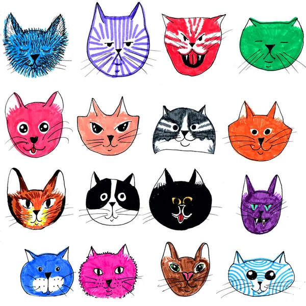 Många Ansikten Katter Olika Katter Med Olika Ansiktsuttryck — Stockfoto