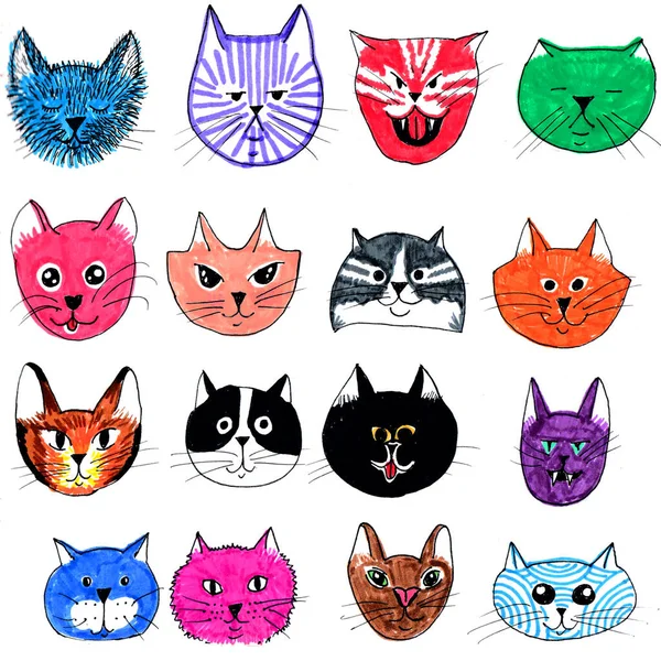 Beaucoup Visages Chats Différents Chats Avec Différentes Expressions Sur Visage — Photo