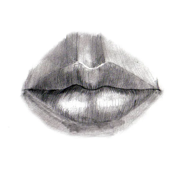 人間の唇のシンプルな鉛筆画 — ストック写真