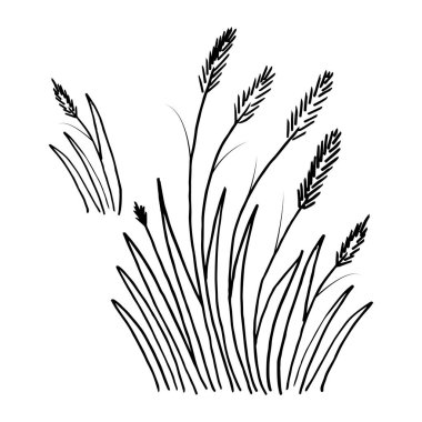 Çivili otlar, el çizimi. Bitki, çim vektörü. Yabani ot illüstrasyonu.