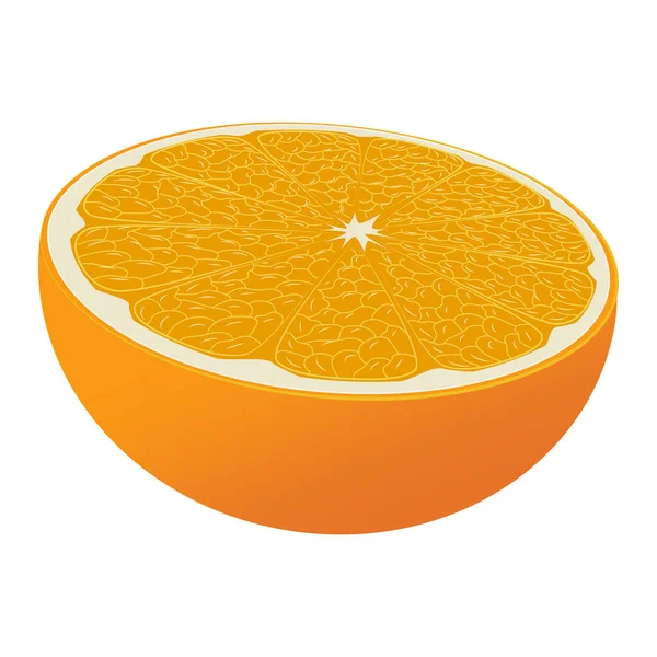 Pomarańcze Plasterek Pomarańczy Pół Pokrojona Pomarańcza Pokrojony Dojrzały Pomarańczowy Widok — Wektor stockowy