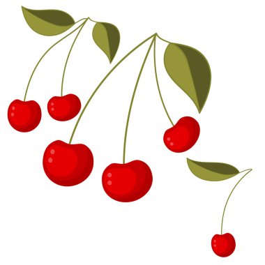 Kırmızı kiraz meyveleri seti. Kumaş üzerine baskı yapmak için.