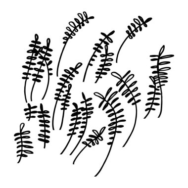 El çizimi çiçek elementleri. vektör illüstrasyonu.