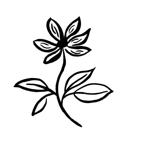 Ilustración Vectorial Del Boceto Flor — Vector de stock