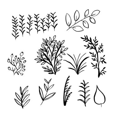 Bitkilerin vektör kümesi. Kumaş ve kağıt üzerine baskı yapmak için. Vektör basit çizimi.