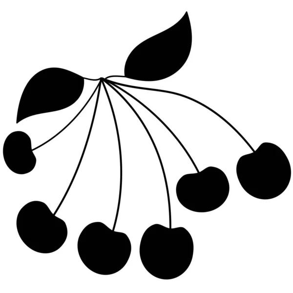 Vector Icon Cherries Sweet Cherries Simple Drawing Berries — Image vectorielle