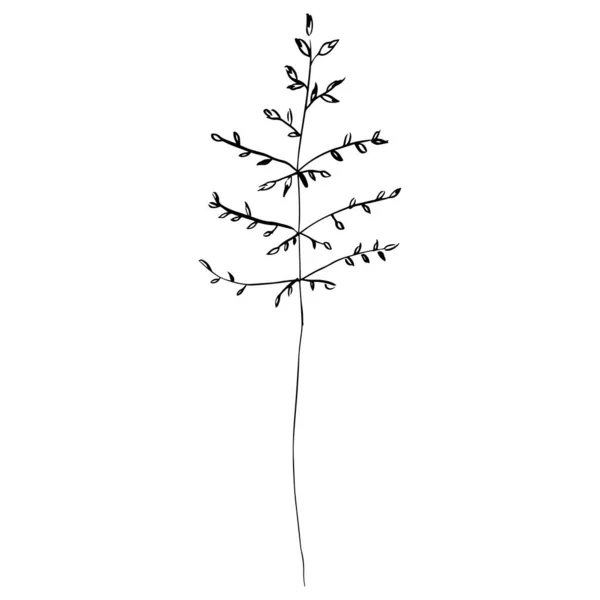 Векторный Простой Рисунок Растения Естественный Рисунок Печати Бумаге Ткани — стоковый вектор