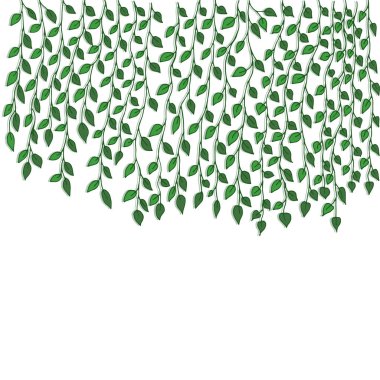 Ivy vine silhouette isolated on white background. Vine plant. Black hanging vine with leaves. Spring or nature plant design. Flat leaves hanging down. Floral pattern. Stock vector illustration