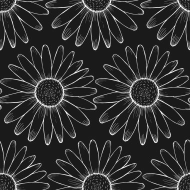 Vector ornament chamomile flowers. For print and web.