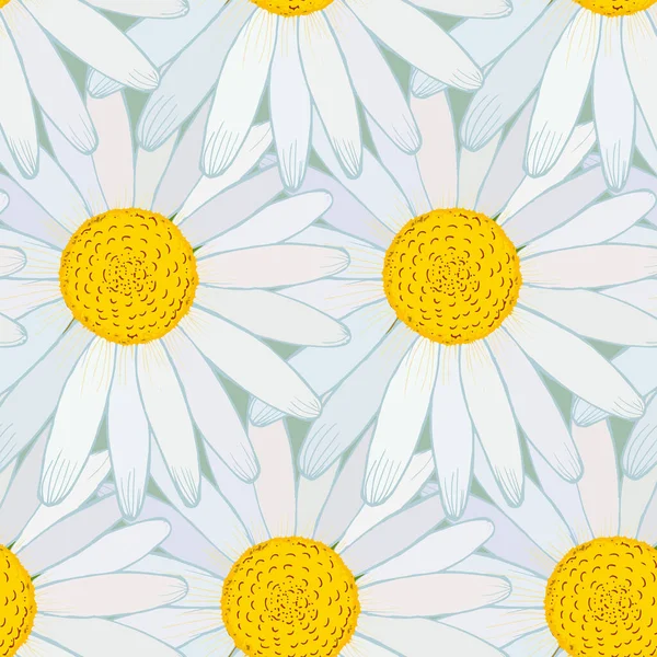 Chamomile Flowers Pattern Vector Illustration Print Web — стоковый вектор