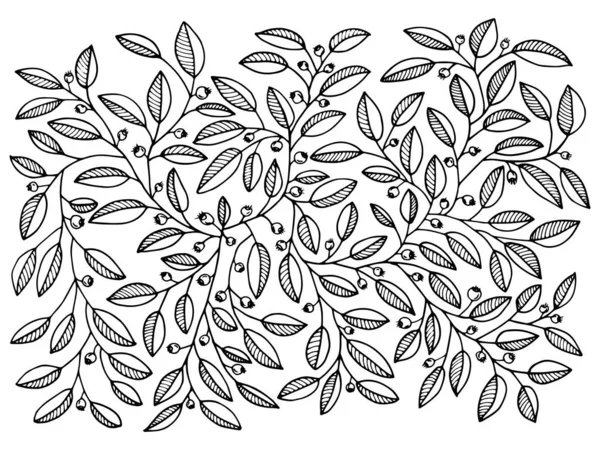 Vaccinium Myrtillus Wild Bilberry Isolated Vector Illustration Blueberry Plant Hand — Wektor stockowy