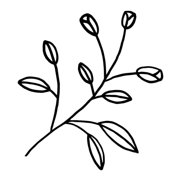Ветвь Рисунком Иконок Листочками — стоковый вектор