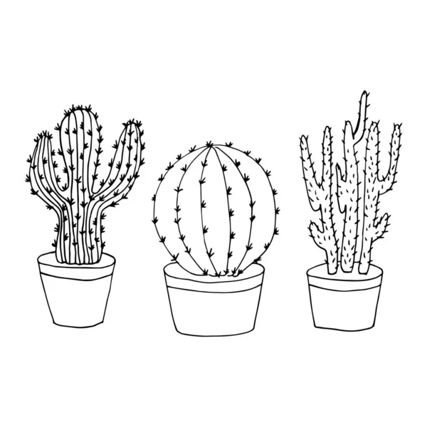 Serie Cactus Disegnati Mano Vettoriale — Vettoriale Stock